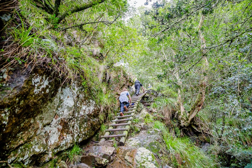 Waterfall Hikes Skeleton Gorge